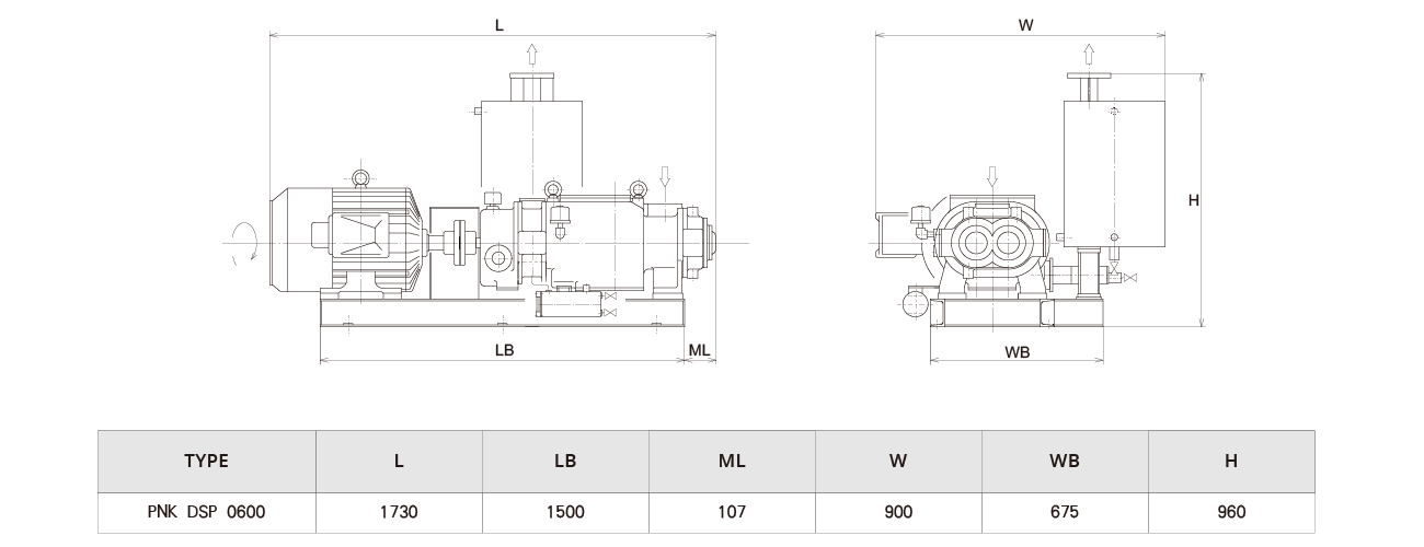 PNK DSP 0600螺杆(gǎn)真空泵 PNK DSP 0600螺杆真空泵