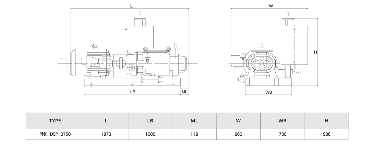 PNK DSP 0750螺杆真(zhēn)空泵(bèng) PNK DSP 0750螺杆(gǎn)真空泵